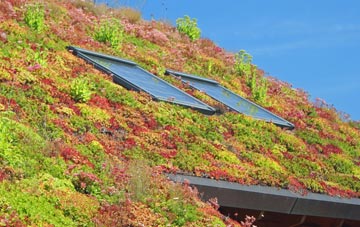 Wrangle Lowgate living roof systems