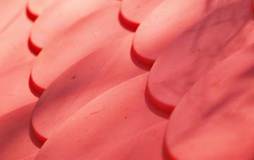 Wrangle Lowgate plastic roof costs