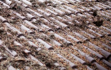 Wrangle Lowgate roof cleaning companies