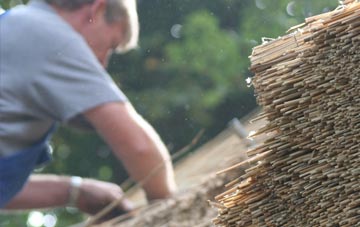 professional Wrangle Lowgate thatchers