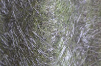 Wrangle Lowgate fibreglass roof work